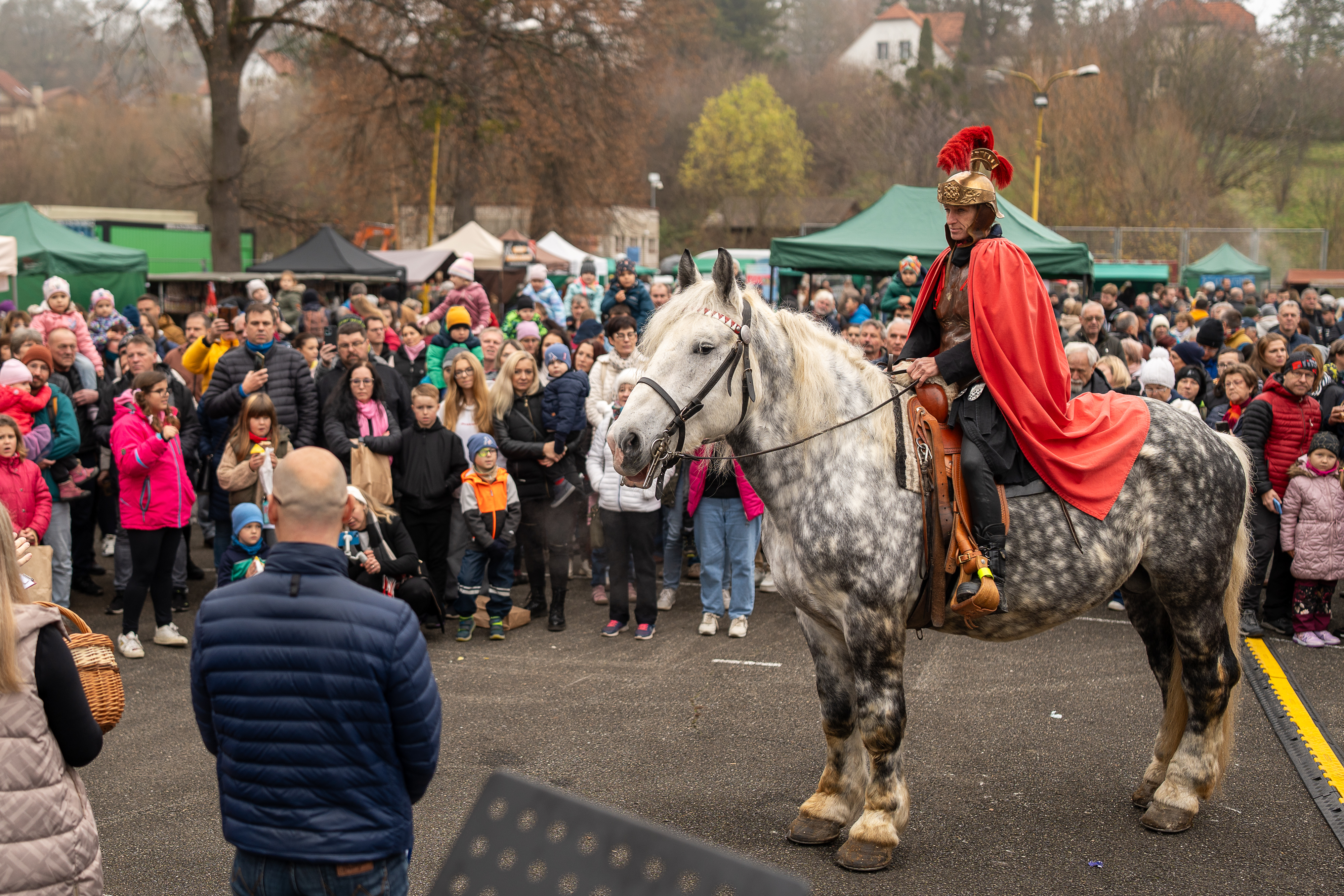 Svatomartinský trh 2025